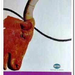 Εξώφυλλο βιβλίου. Το Αιώνας των Λαβυρίνθων. Συγγραφέας Ρέα Γαλανάκη. Εκδότης: Καστανιώτη