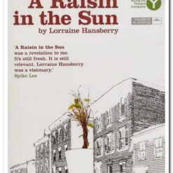 book-a-raisin-in-the-sun