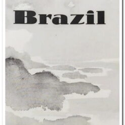 Book cover. Brazil. Errol Lincoln UYS Publisher: Simon and Schuster